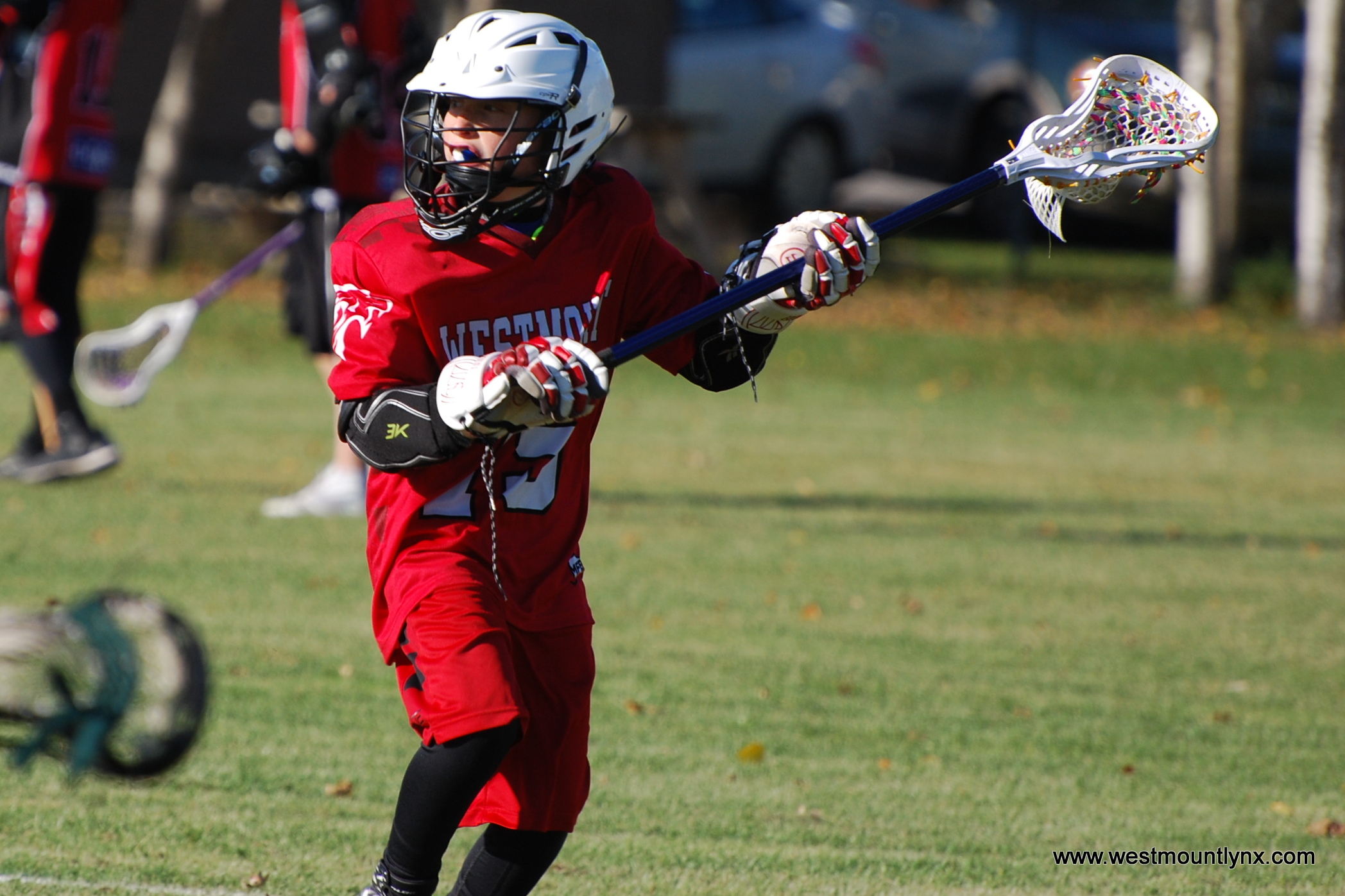 Fédération de crosse du Québec (Minor Lacrosse Federation of Quebec