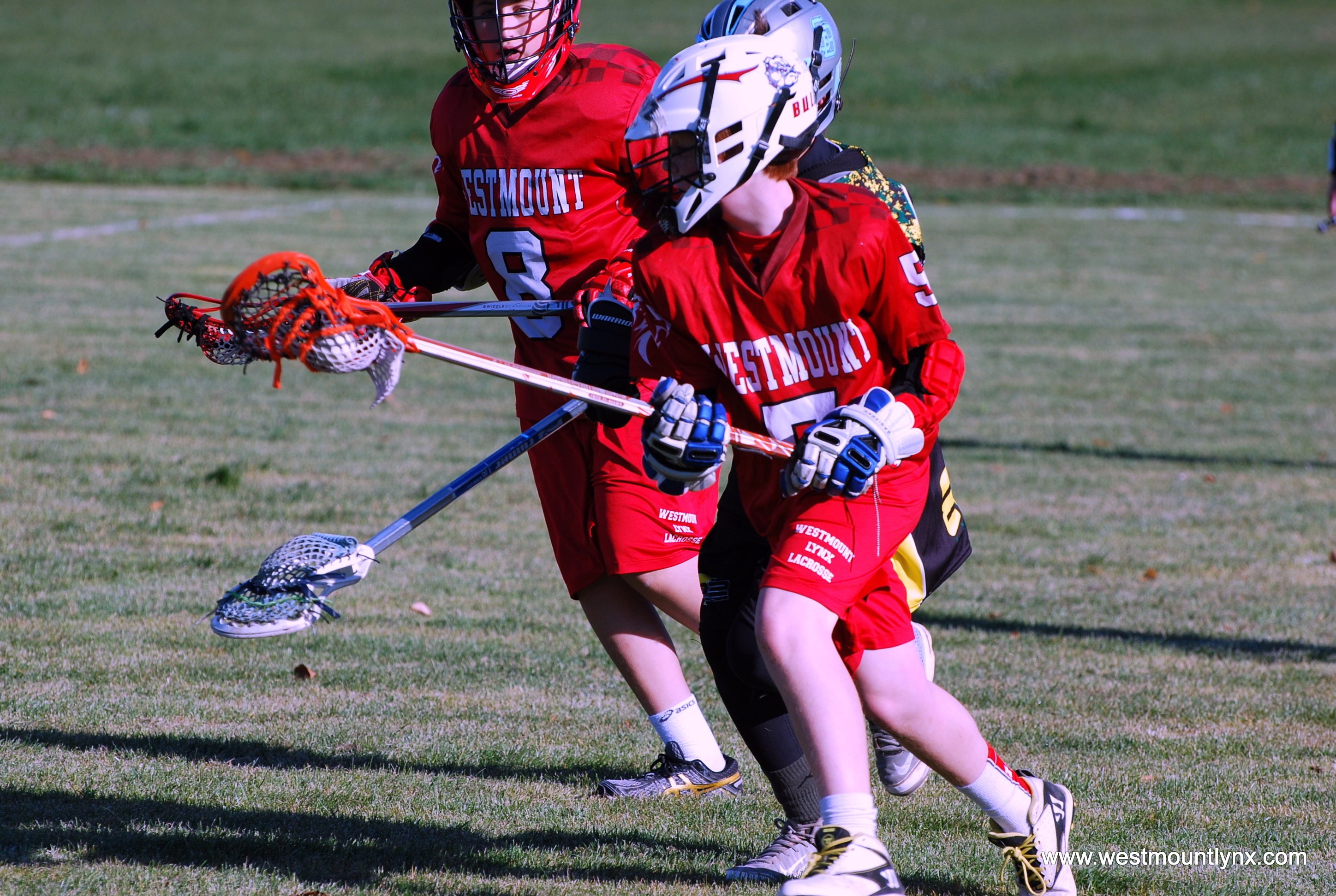 Fédération de crosse du Québec (Minor Lacrosse Federation of Quebec
