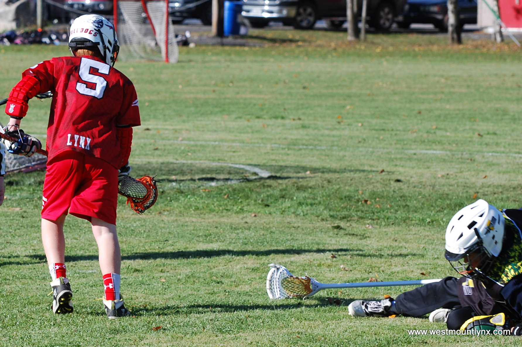 Fédération de crosse du Québec (Minor Lacrosse Federation of Quebec) Westmount Lynx Lacrosse Club