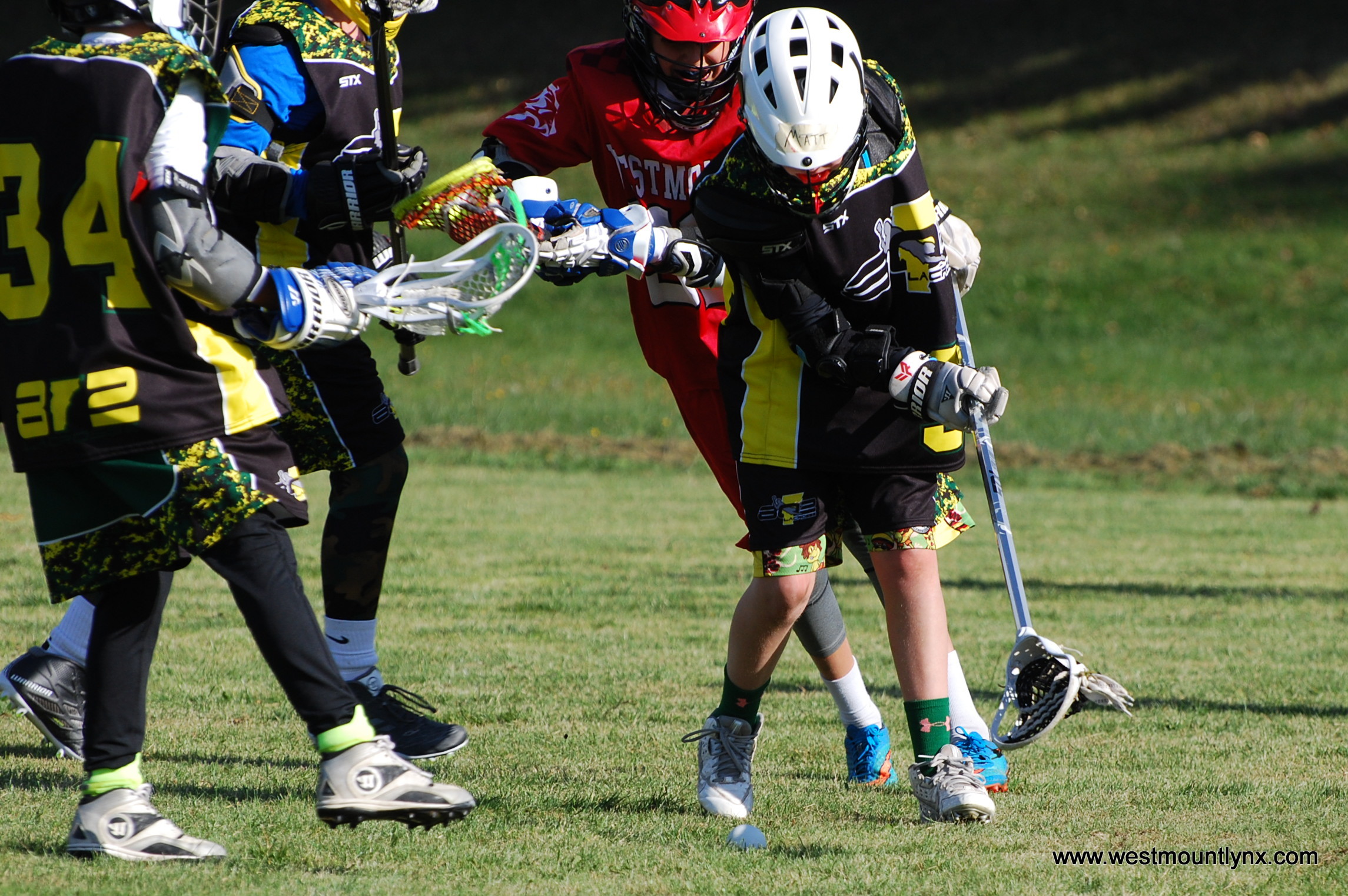 Why Hockey Players Should Play Lacrosse Westmount Lynx Lacrosse Club