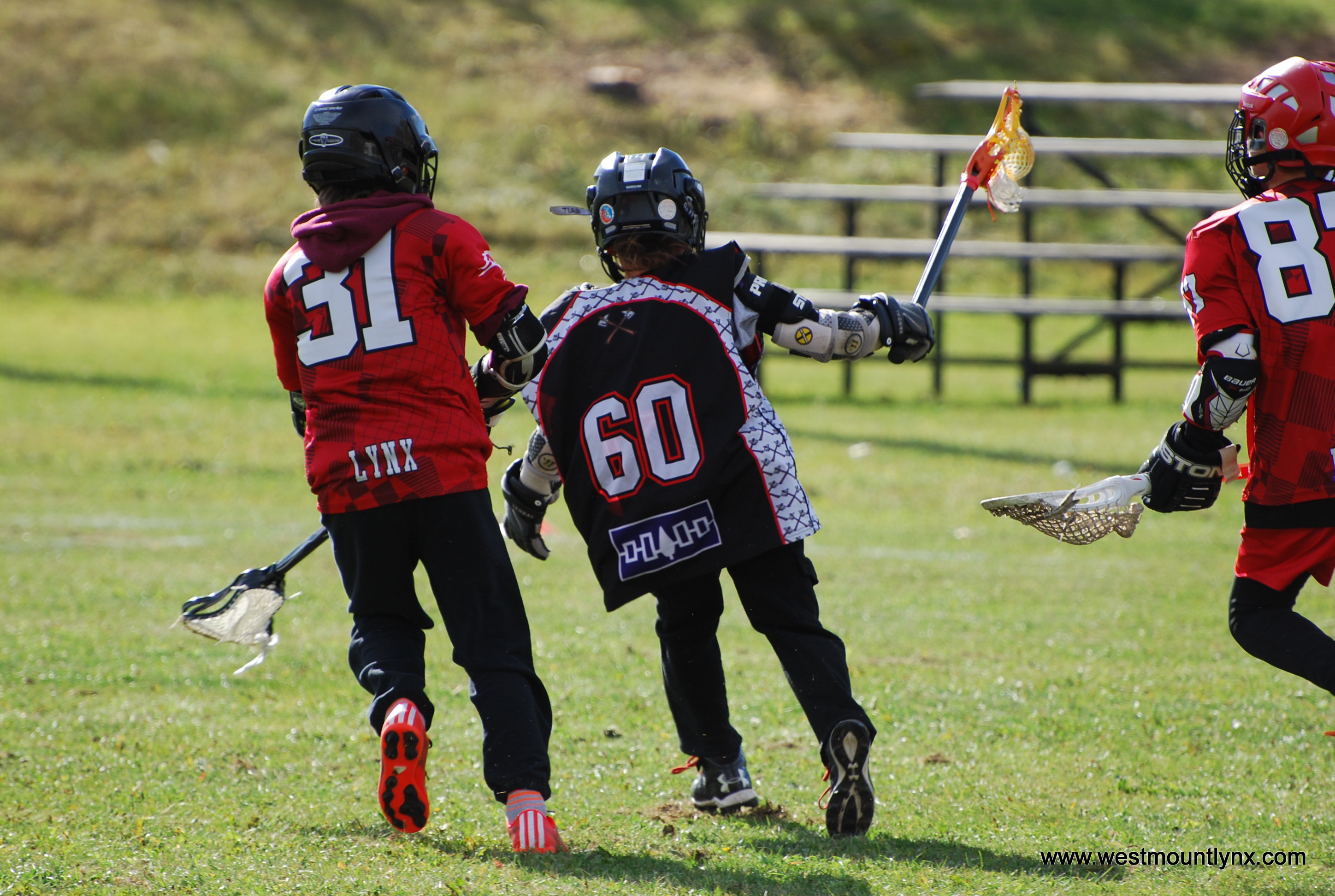 Fédération de crosse du Québec (Minor Lacrosse Federation of Quebec