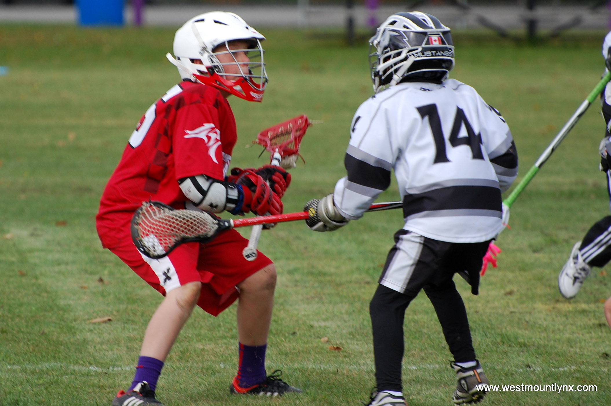Lacrosse Crosse Meaning at James Bruce blog