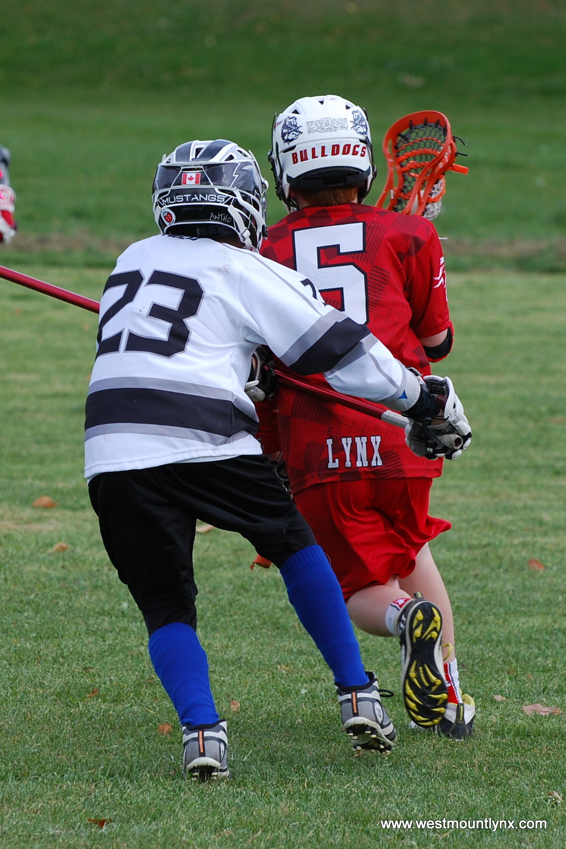 Why Hockey Players Should Play Lacrosse Westmount Lynx Lacrosse Club